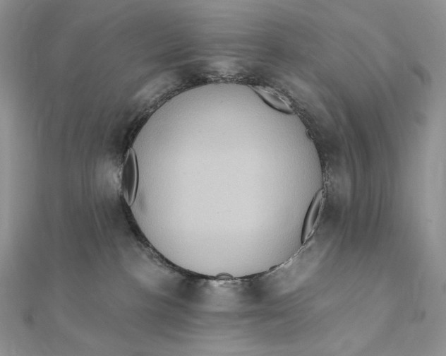 X0000112350188200909031857