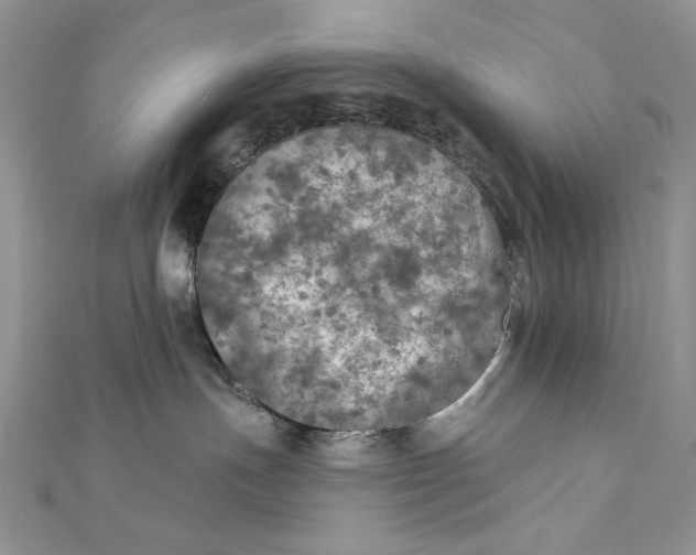 X0000112350191200909031857