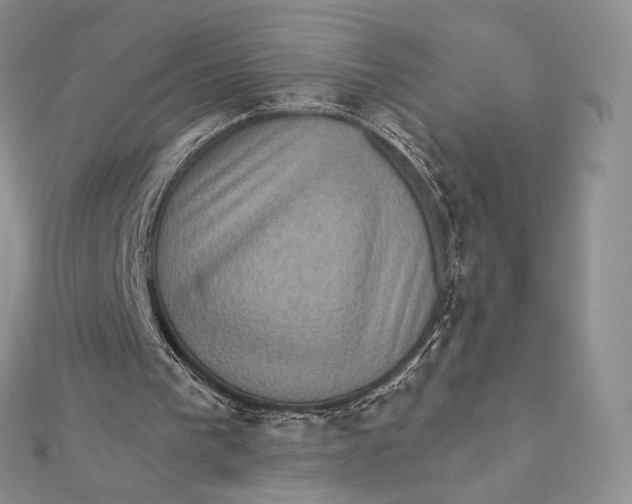 X0000112350193200909031856