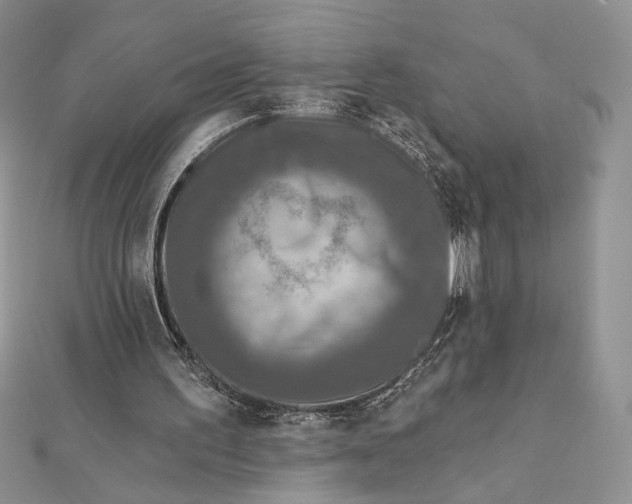 X0000112350195200909031856