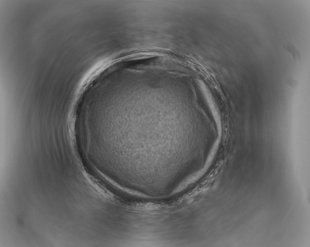 X0000112350197200909031856