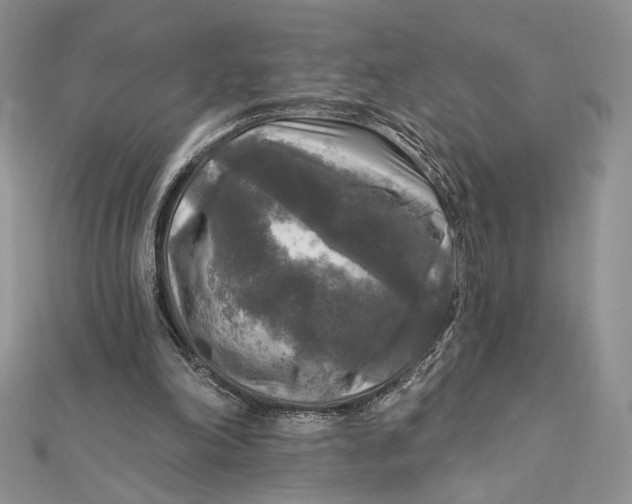 X0000112350198200909031856