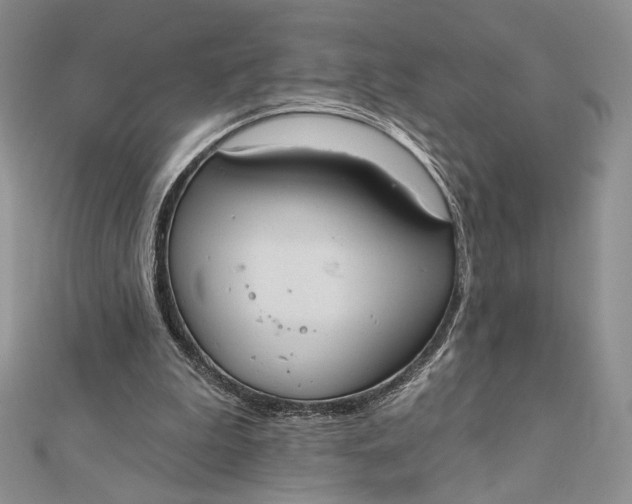 X0000112350199200909031856