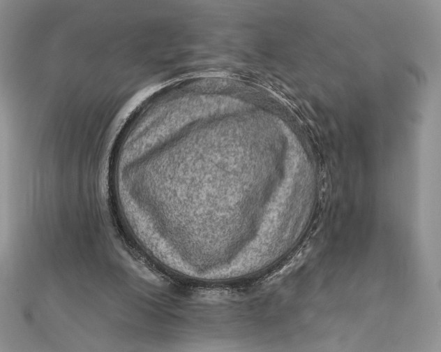 X0000112350200200909031856