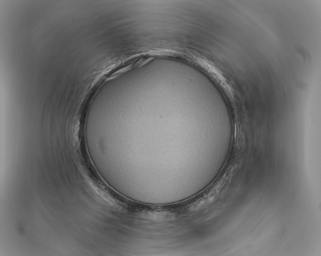 X0000112350201200909031856