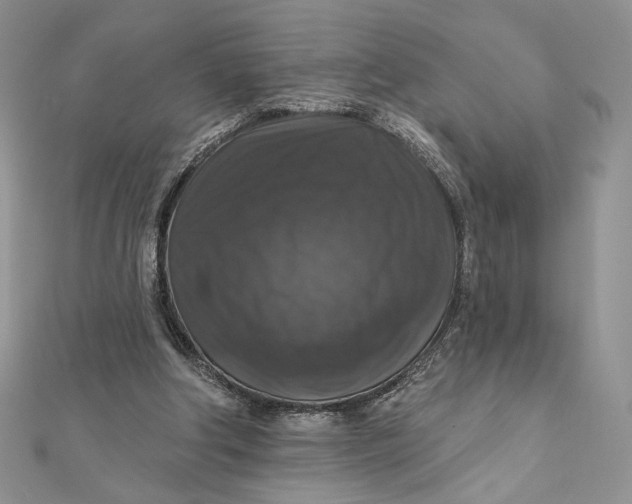 X0000112350202200909031856