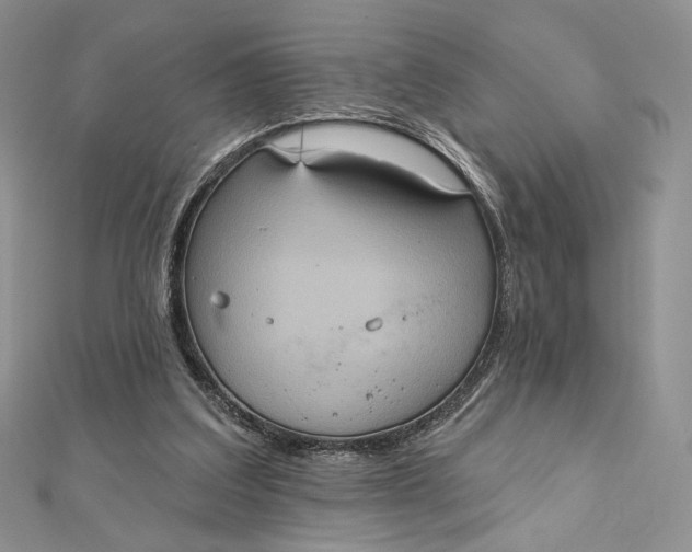 X0000112350203200909031856