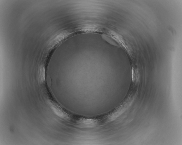 X0000112350205200909031856