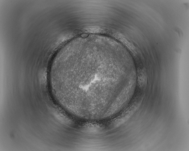 X0000112350207200909031856