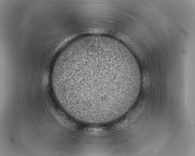 X0000112350208200909031856