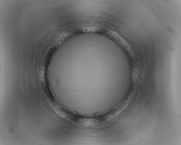 X0000112350209200909031856