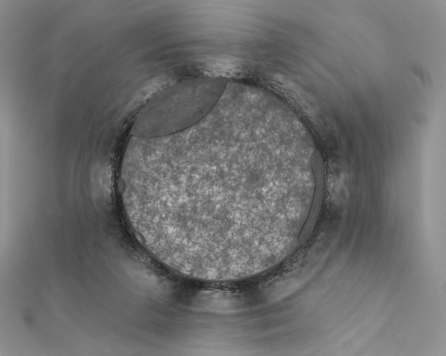 X0000112350211200909031856