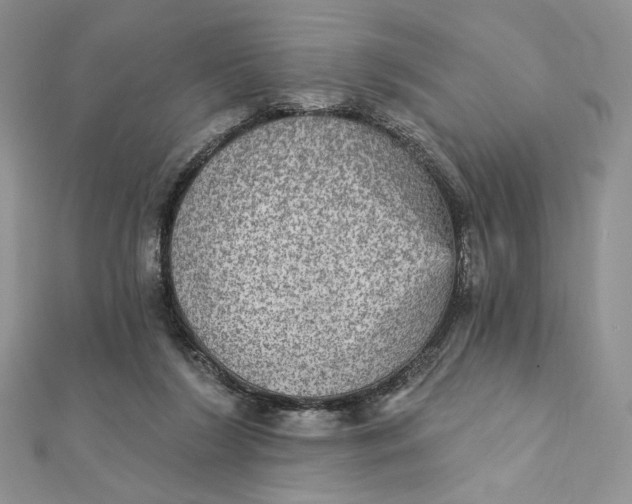 X0000112350212200909031856