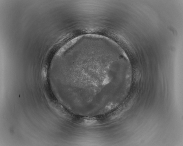 X0000112350214200909031856