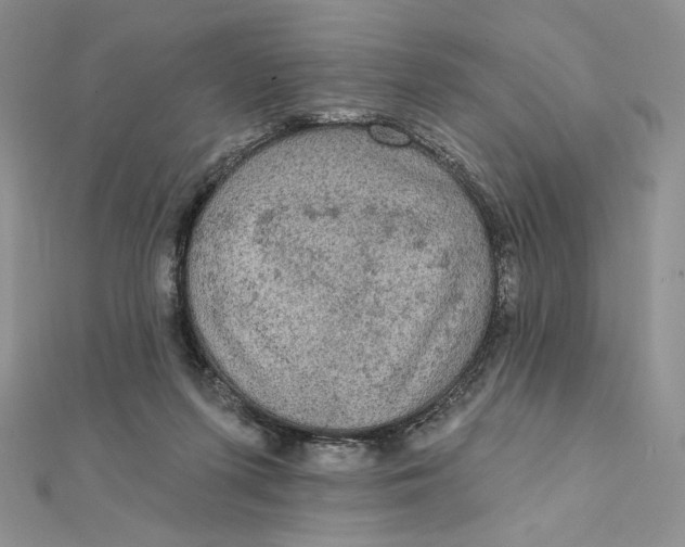 X0000112350215200909031856