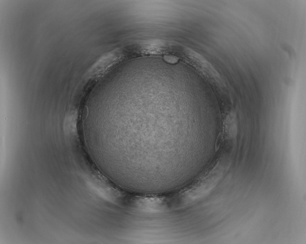 X0000112350217200909031856