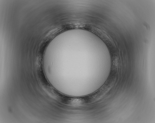 X0000112350218200909031856