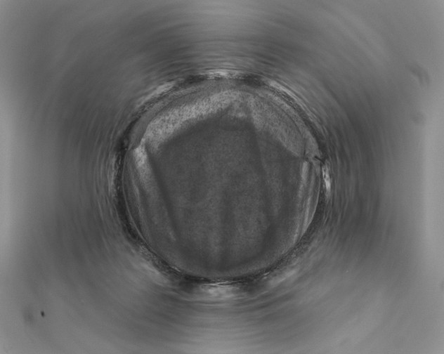 X0000112350219200909031856