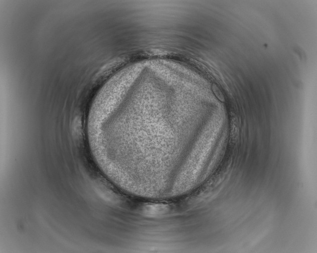 X0000112350220200909031856