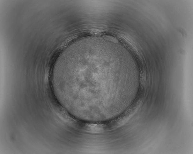 X0000112350221200909031856