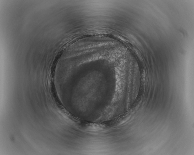 X0000112350223200909031856