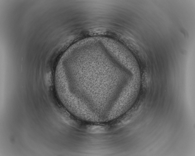 X0000112350224200909031856