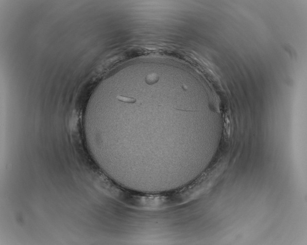 X0000112350225200909031856