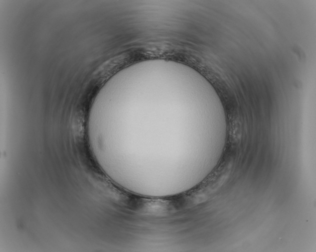 X0000112350226200909031856