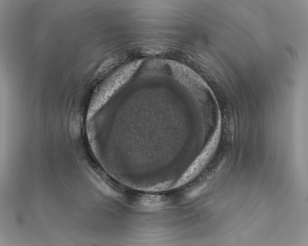 X0000112350227200909031856