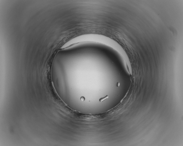 X0000112350229200909031856