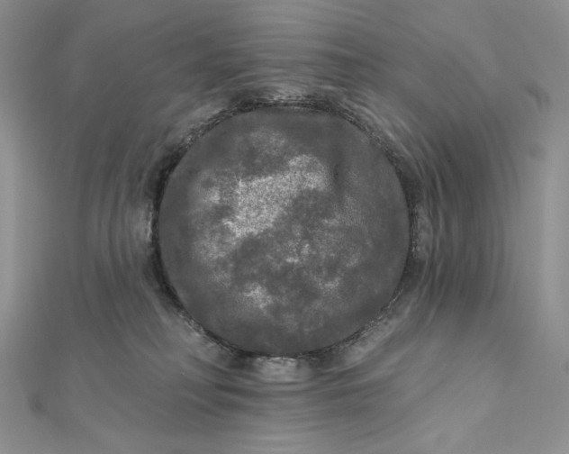 X0000112350230200909031856