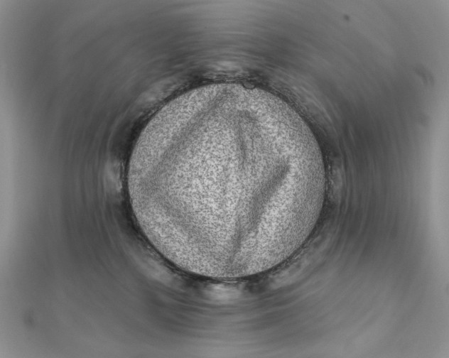 X0000112350232200909031856