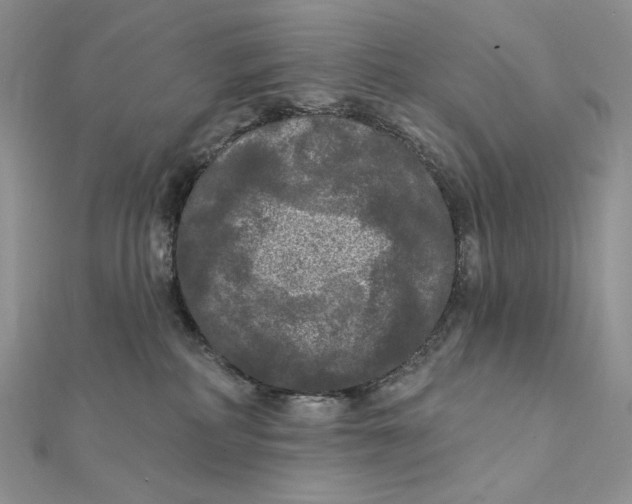 X0000112350234200909031856