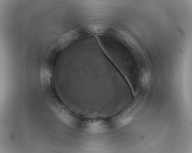 X0000112350235200909031856