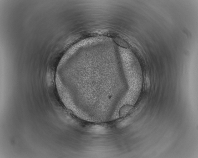 X0000112350236200909031856