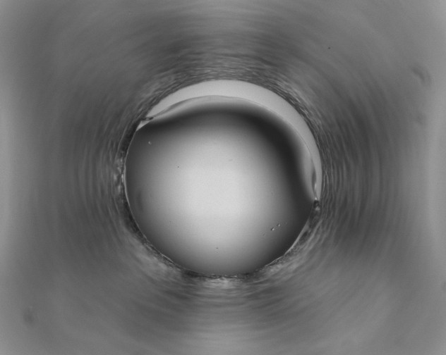 X0000112350237200909031856