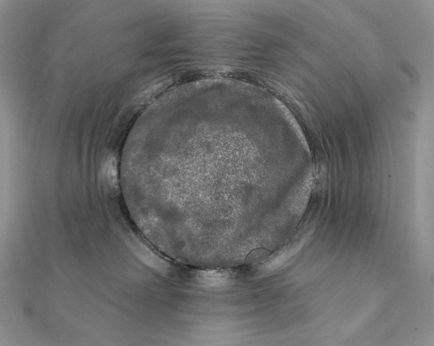 X0000112350238200909031856