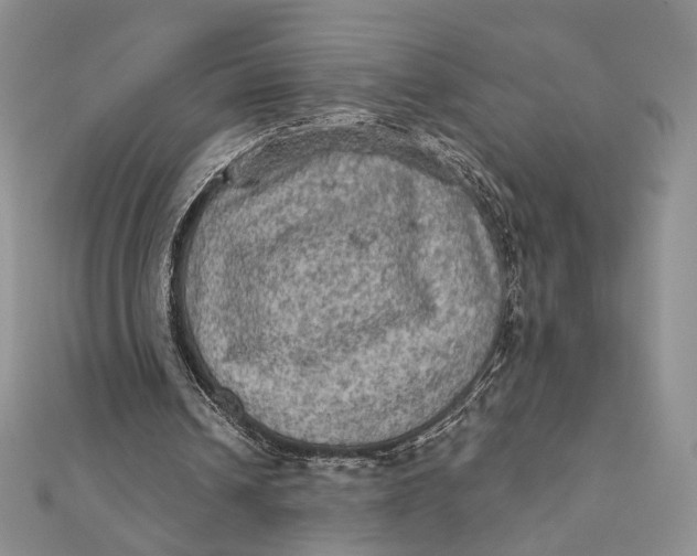 X0000112350242200909031855