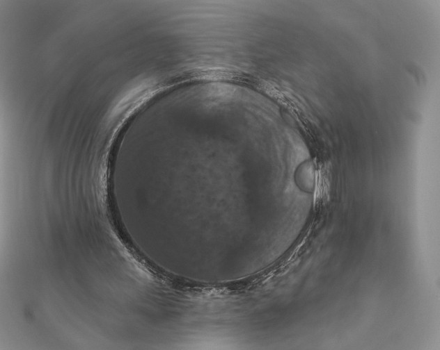 X0000112350243200909031855