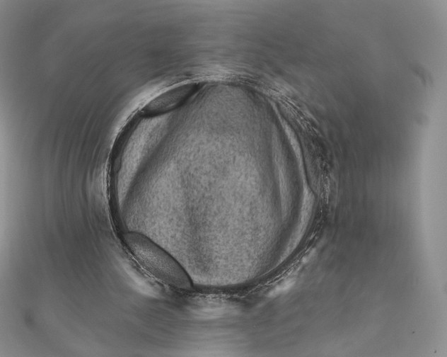 X0000112350244200909031855