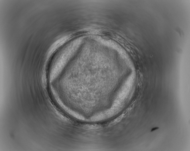 X0000112350245200909031855