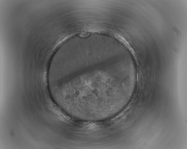 X0000112350249200909031855