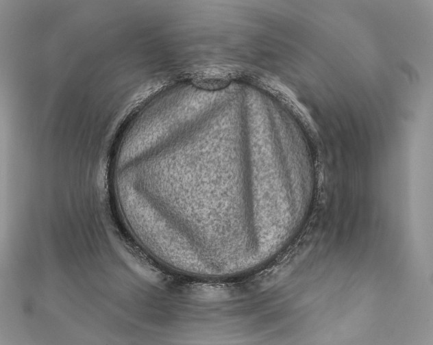 X0000112350250200909031855