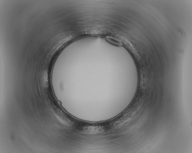 X0000112350251200909031855