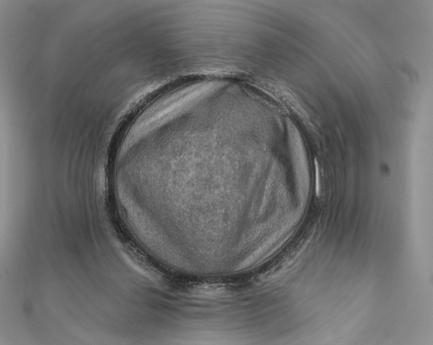 X0000112350252200909031855