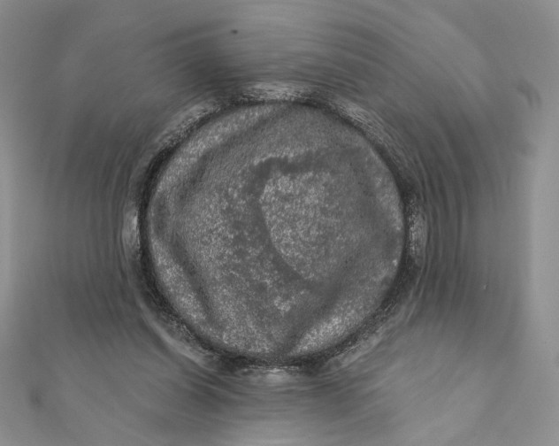 X0000112350254200909031855