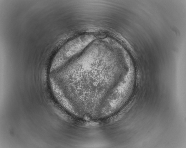 X0000112350257200909031855