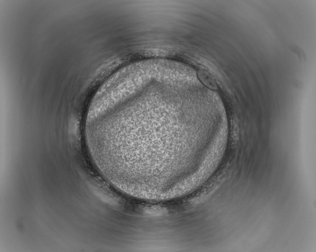 X0000112350258200909031855