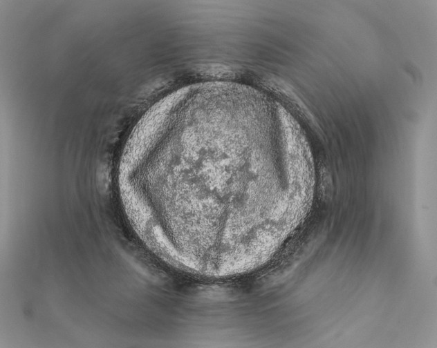 X0000112350259200909031855