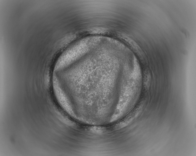 X0000112350261200909031855